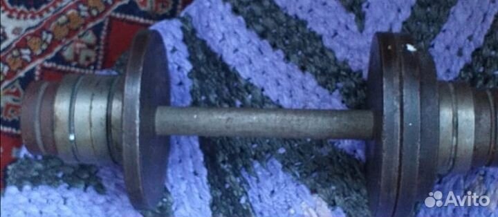 Гантели разборные