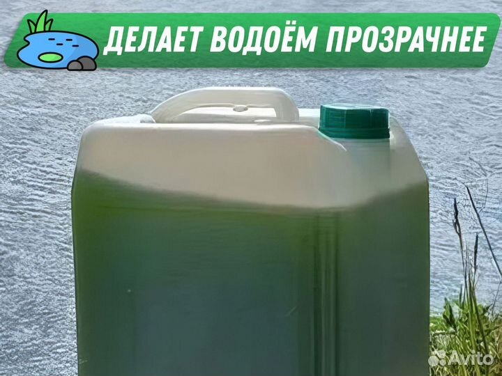 Живая хлорелла для чистки водоема