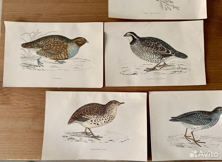 Ксилография гравюры антикварные