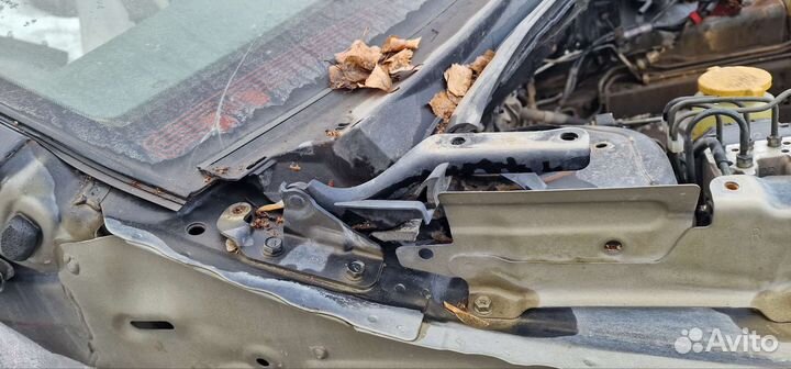 Петля капота subaru tribeca