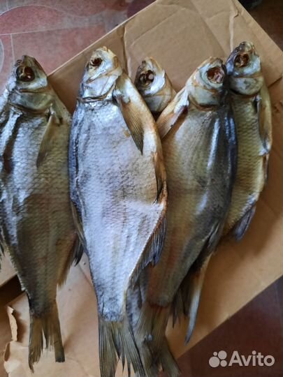 Вяленая рыба. Лещ вяленый