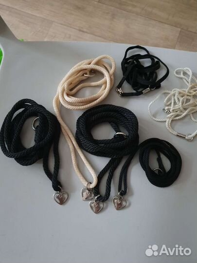 Переноска, миски, ошейники+++