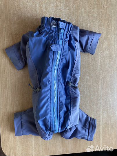 Одежда для собаки