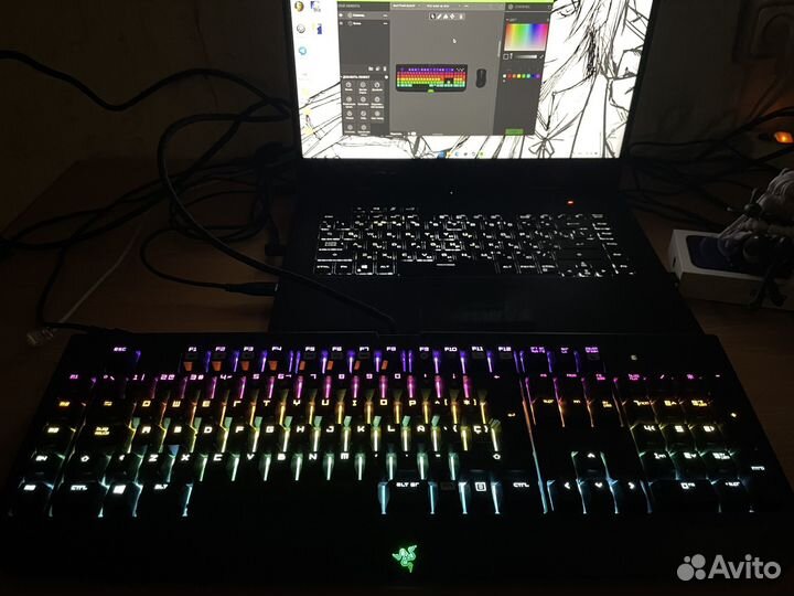 Razer blackwidow chroma