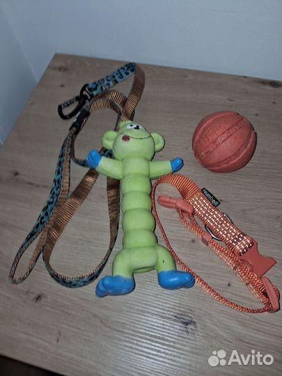 Набор для собачки