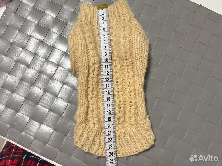 Одежда для котят