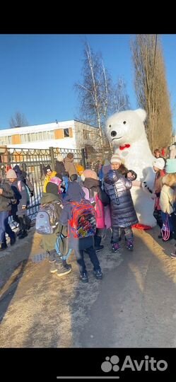 Поздравление от белого мишки