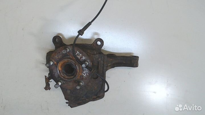 Ступица (кулак, цапфа) Renault Koleos, 2009