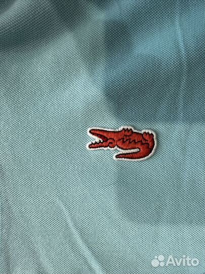 Lacoste polo