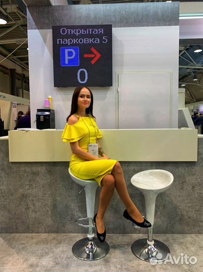 Стендистка на выставку