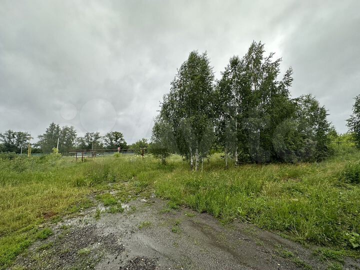 Участок 10 сот. (ИЖС)