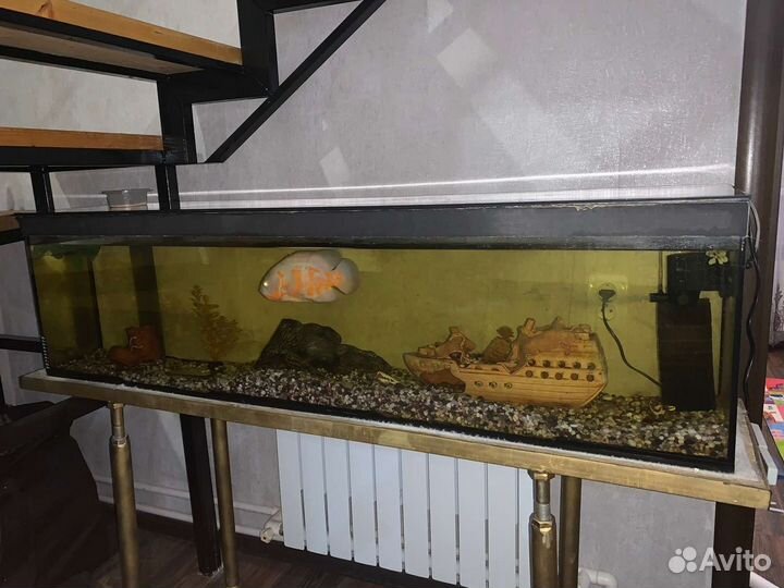 Аквариум