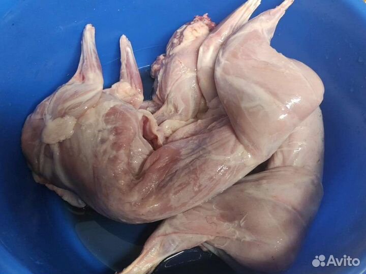 Парное мясо кролика (тушка)