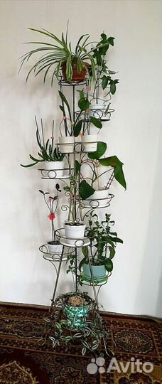 Стойка вместе с цветами