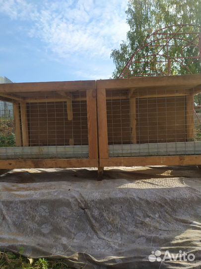 Клетки для кур несушек бу