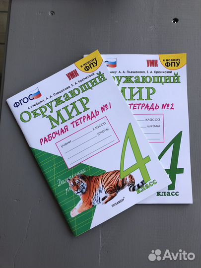 Рабочая тетрадь по окружающему миру 4 класс
