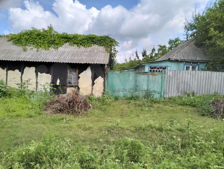 Дом 65 м² на участке 50 сот.