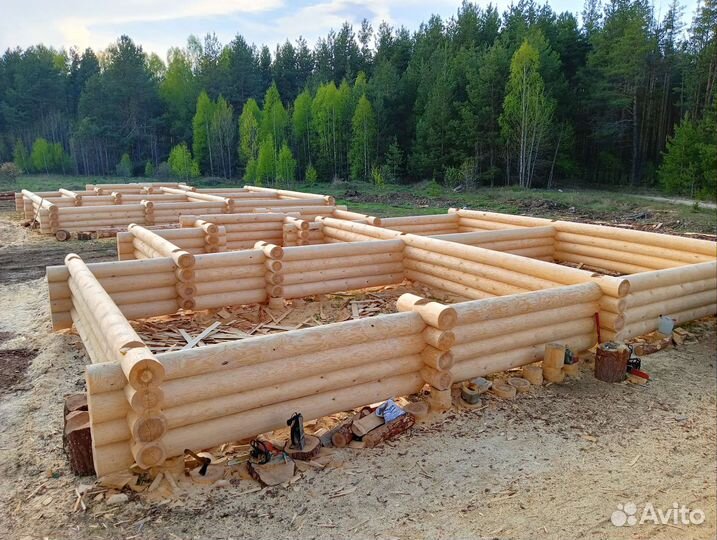 Срубы из зимнего леса