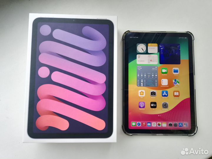 iPad mini 6 256gb cellular