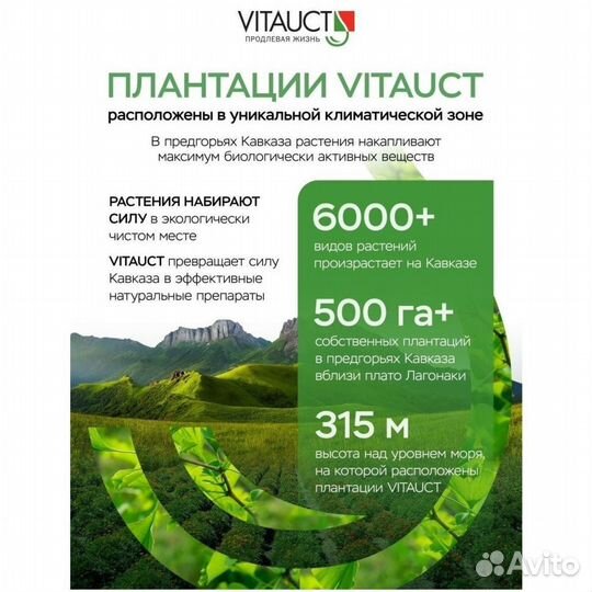 Форпост для сохранения молодости и тонуса