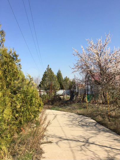 Участок 6,3 сот. (СНТ, ДНП)