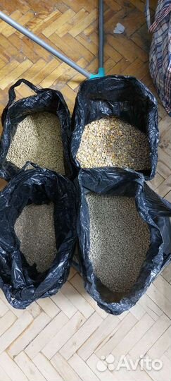 Корм для кур несушек