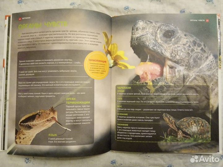 Динозавры и рептилии. Большая детская энциклопедия