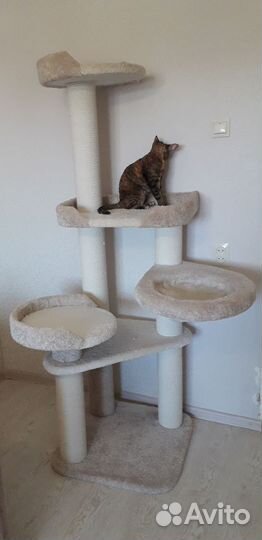 Когтеточка домик б/у