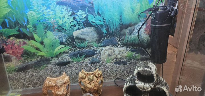 Аквариум с тумбой 100л