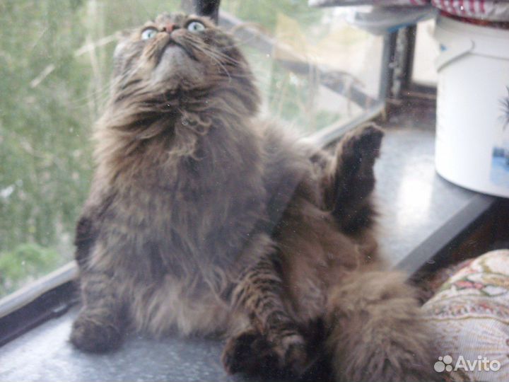 Фотоаппарат Samsung s1060