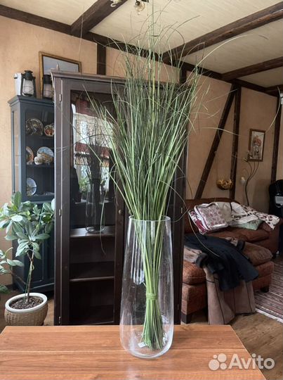 Декоративная трава