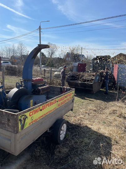 Измельчитель веток. Аренда дробилки