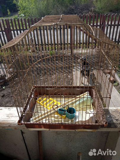 Клетка для попугая