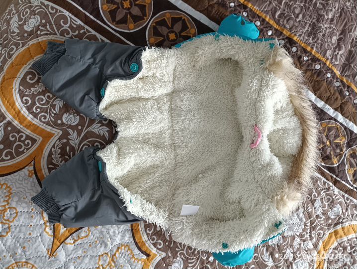 Комбинезон для маленькой собаки мальчик