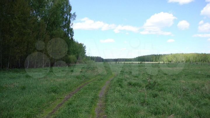 Участок 26 га (СНТ, ДНП)