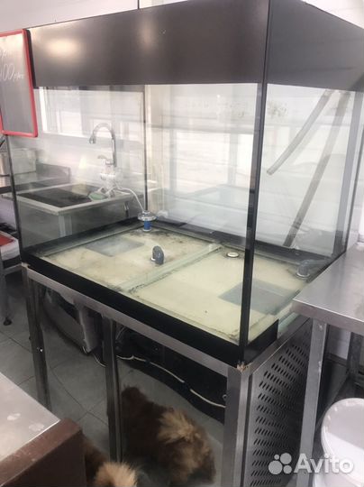 Аквариум для магазина. Морозильная камера