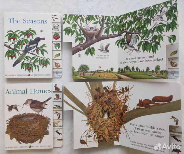 Детские английские книжки