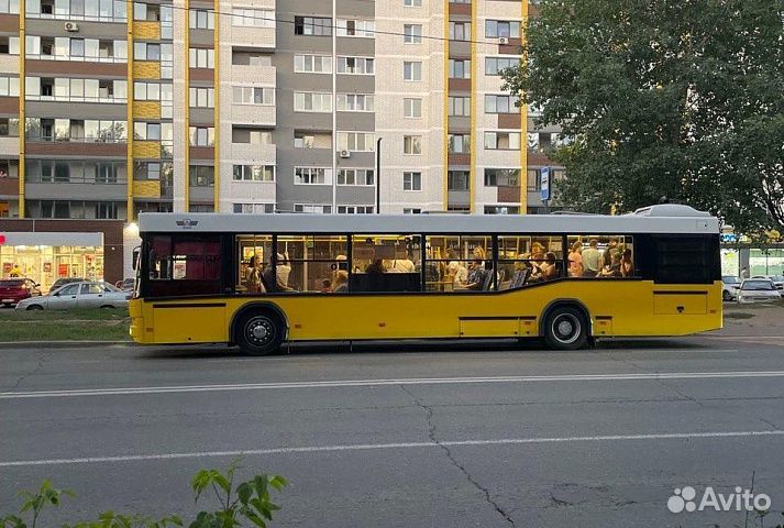 Водитель автобуса на городских маршрутах