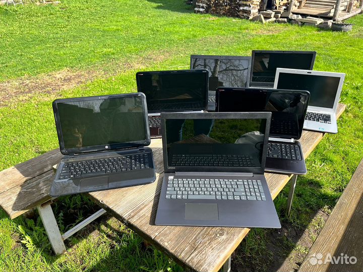 Ноутбуки под любые задачи и бюджет