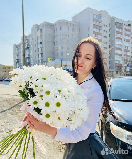 Хризантема Ромашка