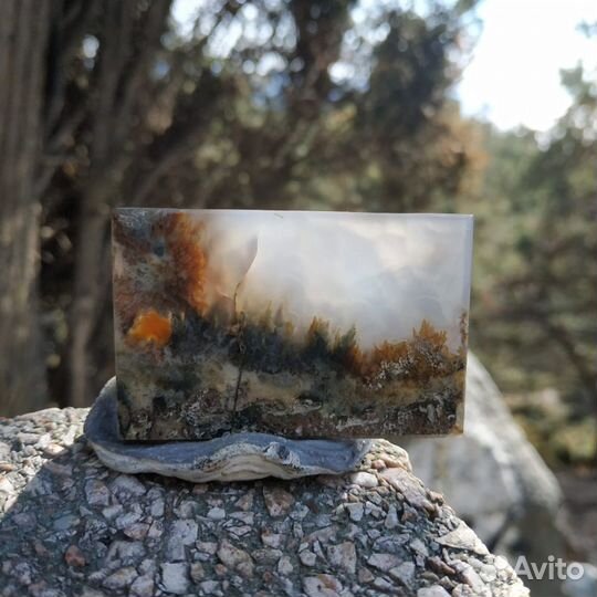 Коллекционный дендро-опал 