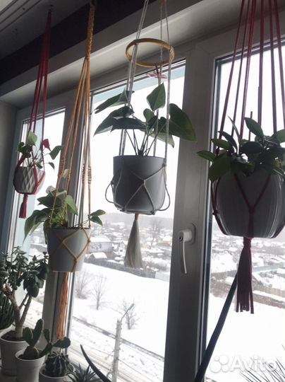 Подвесы для растений