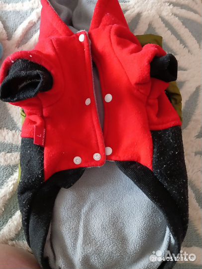 Одежда для собак