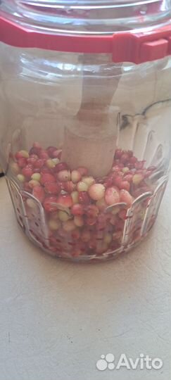 Клюква, калина, чёрная рябина