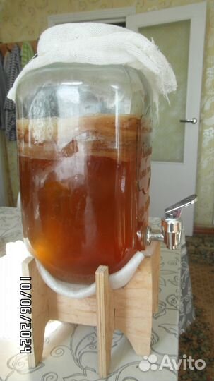 Чайный гриб комбуча