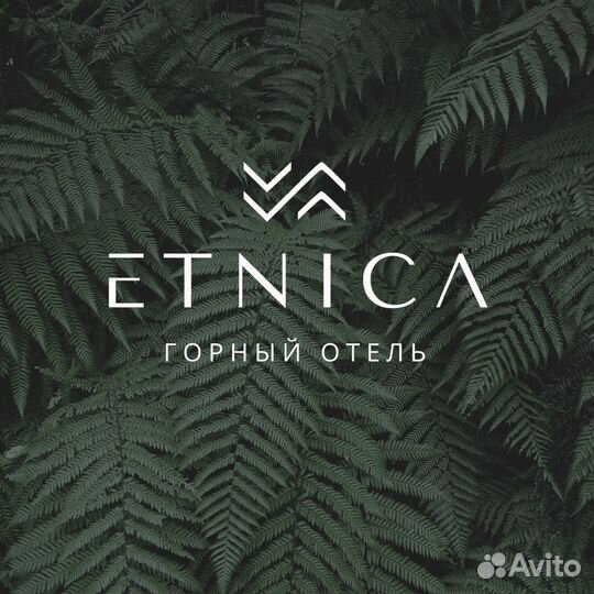 Помощник администратора