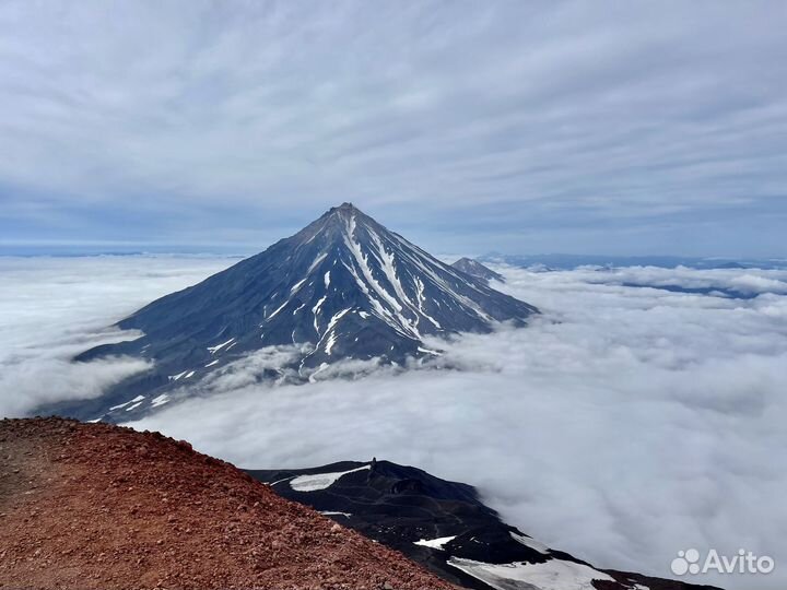 Путешествие на Камчатку. Киты, вулканы, медведи