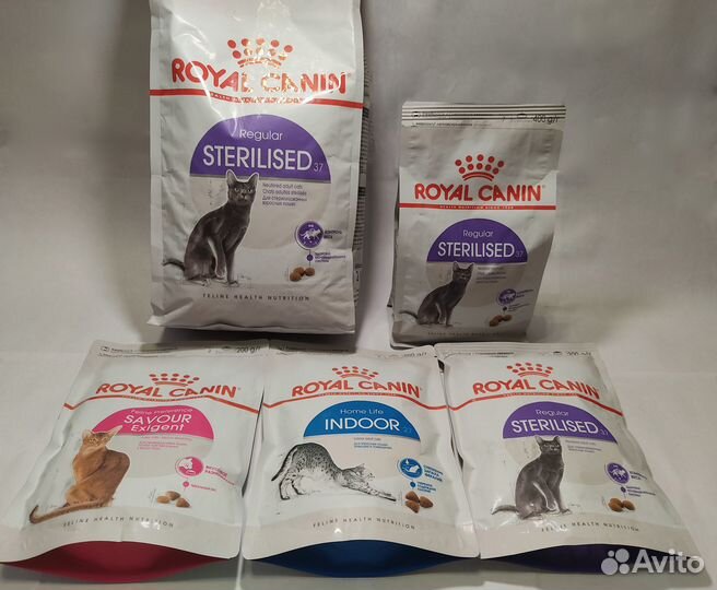 Сухой корм для кошек, влажный корм для кошек