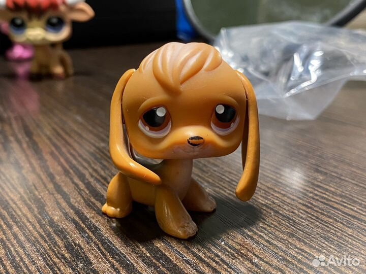 Littlest Pet Shop для обмена