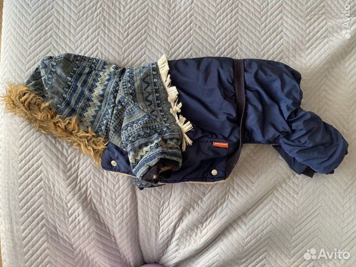 Теплая одежда для собак